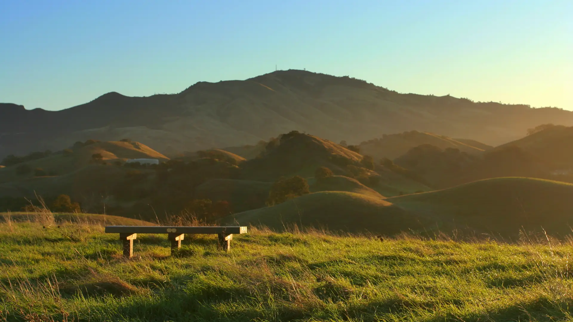 Golden morning light over the Mount Diablo foothills