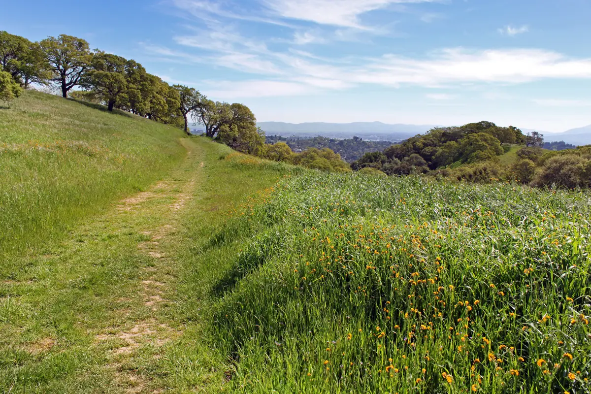 Grassy trail on Mount Wanda at the John Muir National Historic Site in Martinez